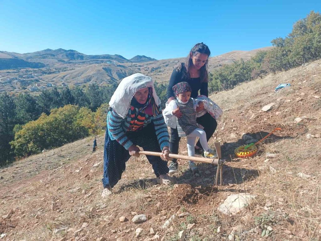Hozat ilçesinde meşe palamutları toprakla buluşturuldu