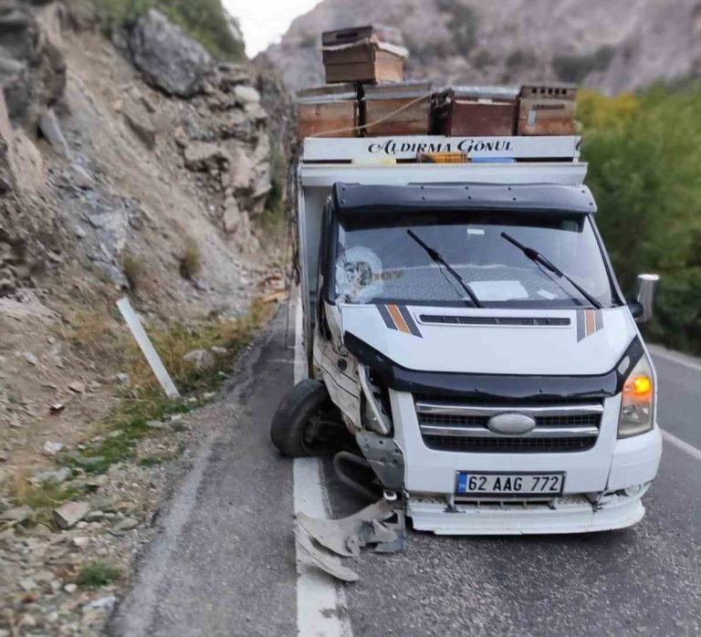 Tunceli’de kayanın isabet ettiği araç kaza yaptı: 10 arılı kovan zayi oldu