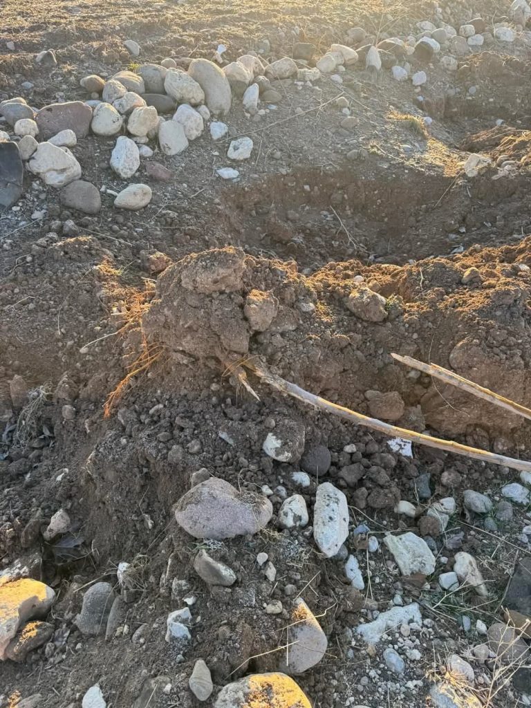 Çemişgezek Karayolundaki Ağaçlar kimliği belirsizler tarafından çıkartılıp, çalındı