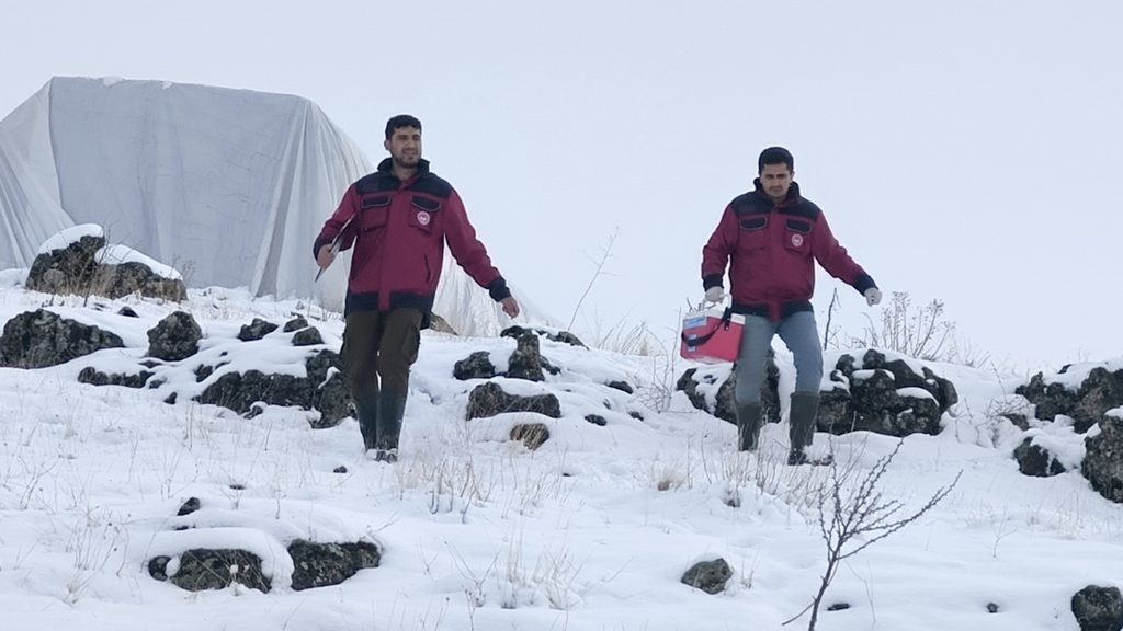 Çemişgezek’te Veteriner hekimlerin başarılı çalışmaları takdir görüyor