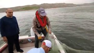 Kaçak balık avlamayı önlemek için ekipler yoğun mesai harcıyor