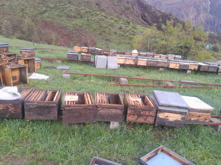 Tunceli Arı Yetiştiricileri Birliği Başkanı Doğan, “Fırtınadan zarar gören arıcılar TARSİM’e başvurmalı”