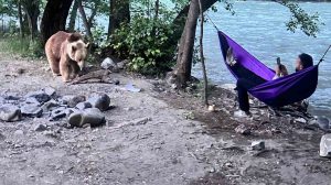 Tunceli’de kamp yaparlarken ayı sürpriziyle karşılaştılar