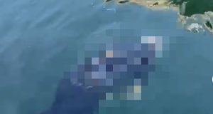 Köprüden nehre atlayan yaşlı adamı tekne turu yapanlar kurtardı