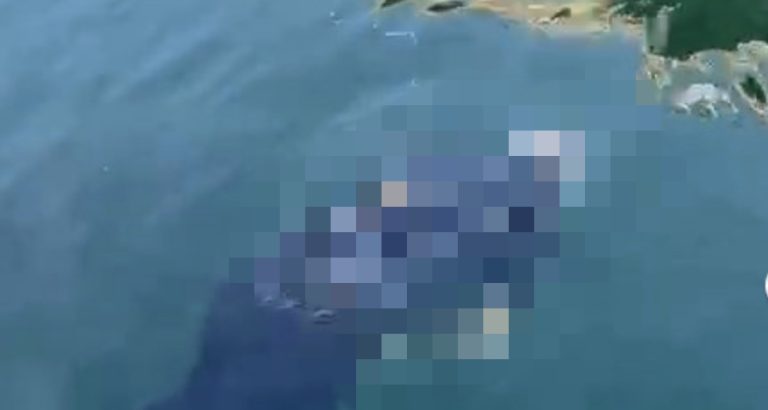 Köprüden nehre atlayan yaşlı adamı tekne turu yapanlar kurtardı