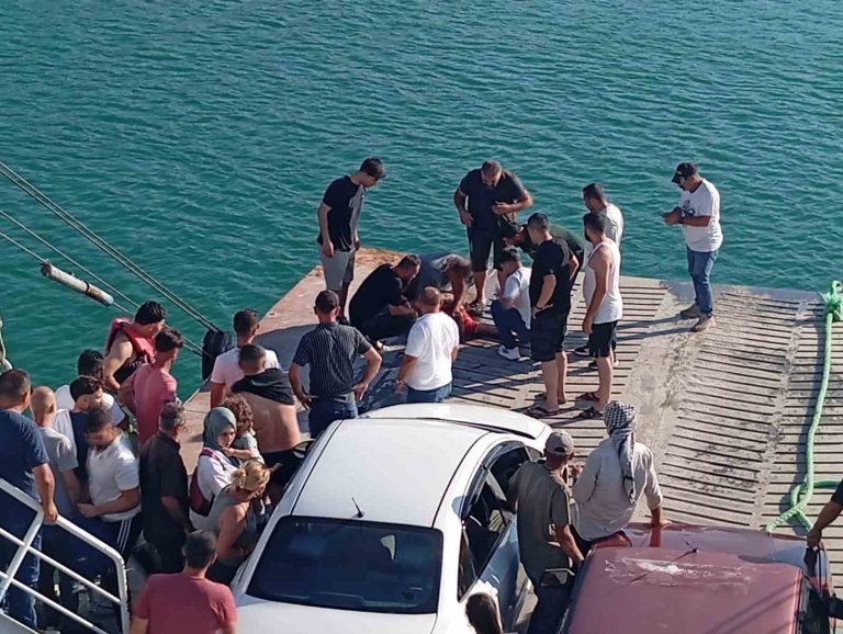 Pertek Feribotundan göle düşen şahsı vatandaşlar kurtardı