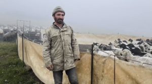 Çemişgezekli üreticiler, Erzurum yaylasında kara yakalandı