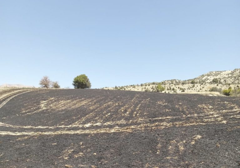 Çemişgezek ilçesinde çıkan arazi yangınında 34 dönüm arpa tarlası kül oldu