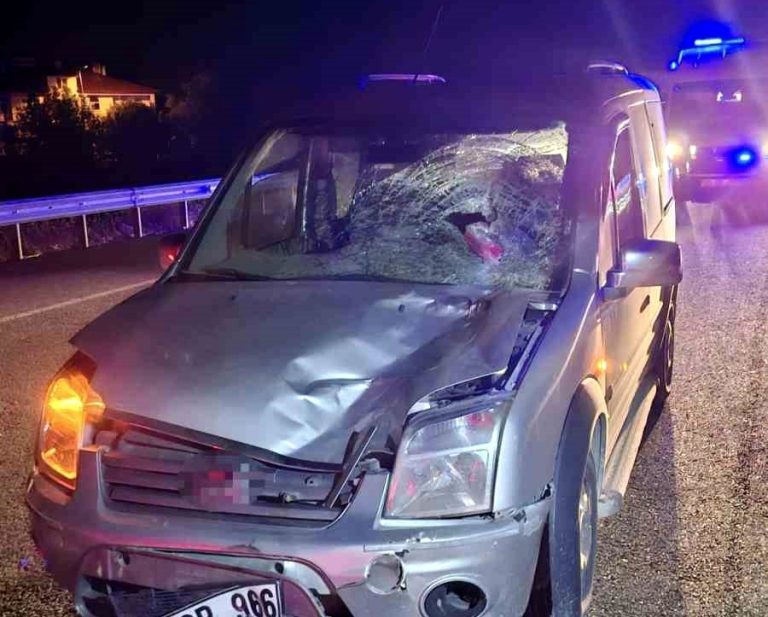 Elazığ’da yolun karşısına geçmek isterken aracın çarptığı kadın öldü