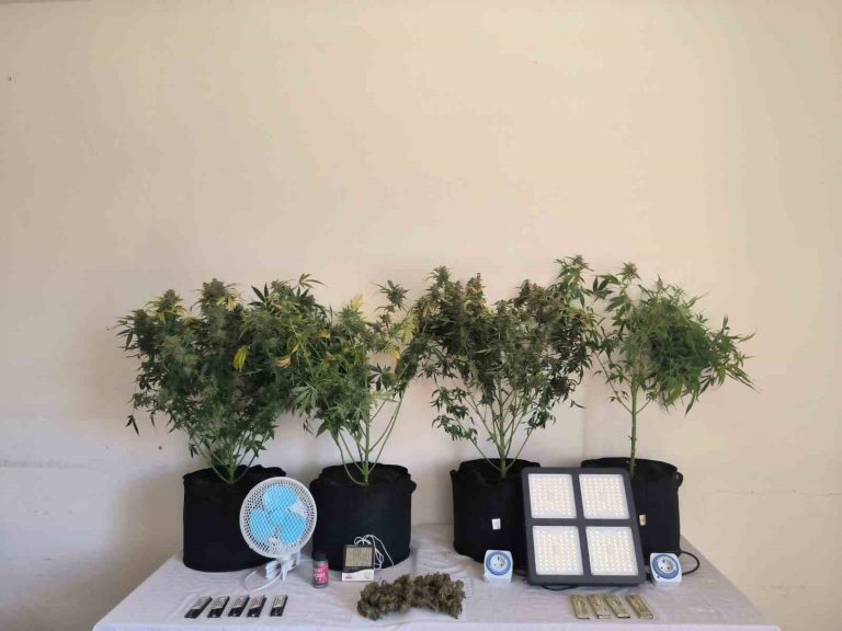 Tunceli’de jandarmadan uyuşturucu operasyonları: 10 gözaltı