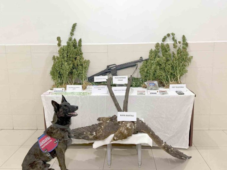 Tunceli’de uyuşturucu operasyonu