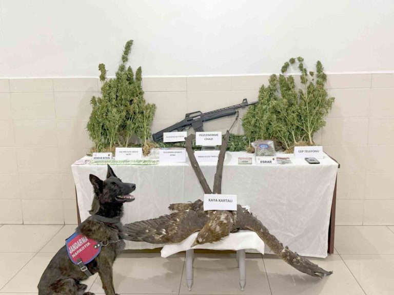 Tunceli’de uyuşturucu ticareti ile kaçak avcılık yapan şahıs tutuklandı