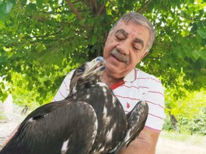 Çemişgezekli vatandaşın Kaya kartalı ile dostluğu görenleri şaşırtıyor
