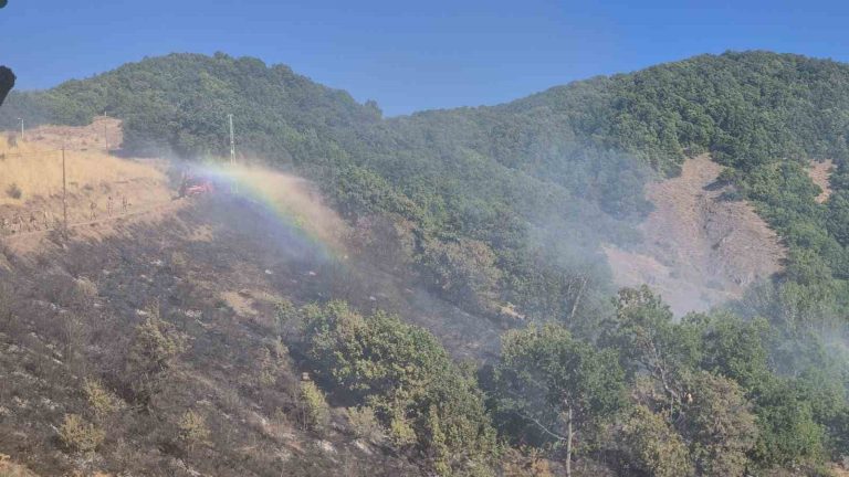 Nazımiye’de arazi yangını: Havadan ve karadan müdahale sürüyor