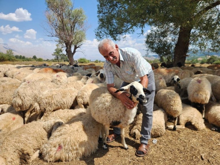 Çoban krizi büyüyor: Bir aylık ücret 130 bin TL’ye çıktı