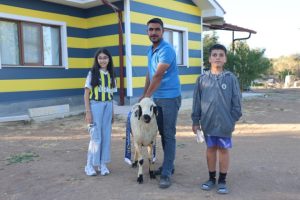 Fenerbahçe’nin makus tarihi değişsin diye, adadıkları hayvanı kestiler