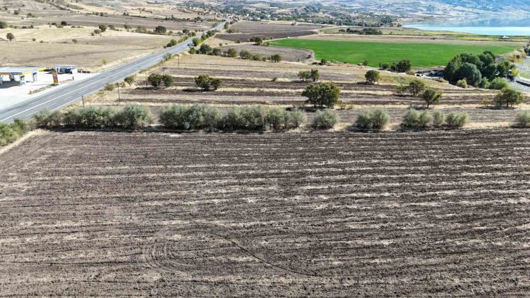 Fransa’dan Tunceli’deki köyüne döndü, sera kurulumu için çalışmalara başladı