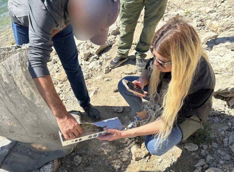 Tunceli’de yasak ağ kullanan ve boy limitine uymayan şahıslara ceza kesildi