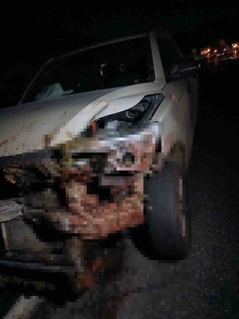 Elazığ’da kamyonet koyun sürüsüne çarptı: 30 küçükbaş hayvan telef oldu