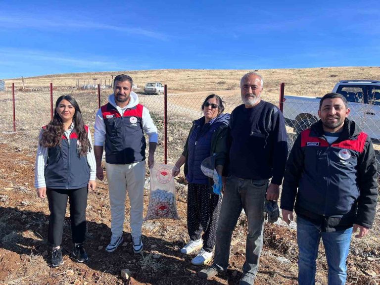 Tunceli’nin 4 ilçesinde sarımsak ekimi yapıldı