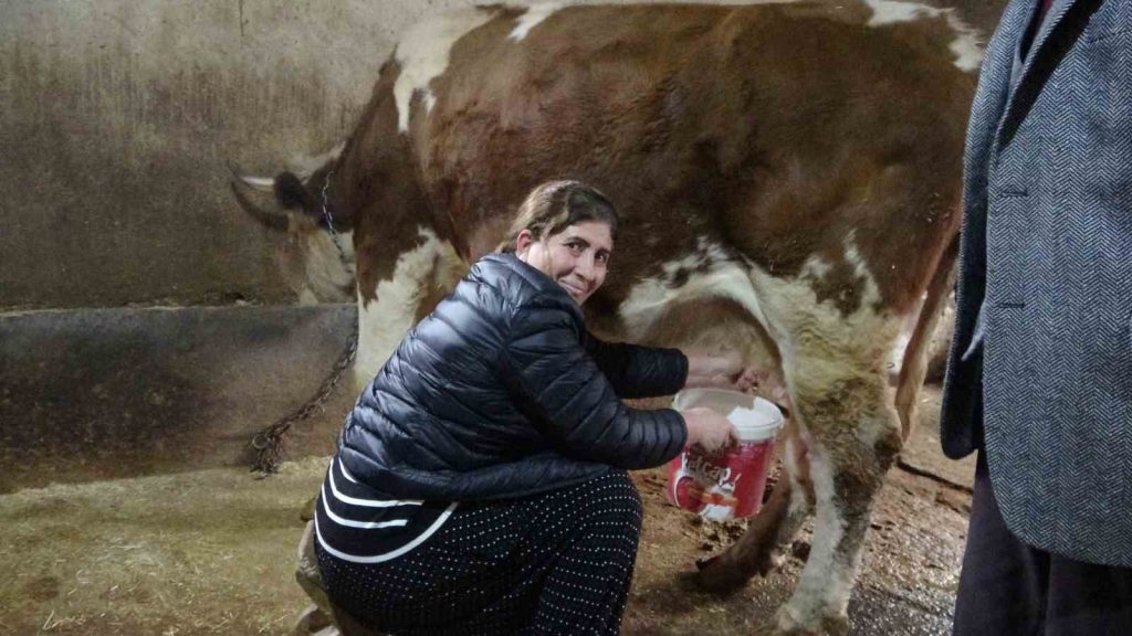 8 erkek adayı geride bırakan kadın muhtar: Hem hayvancılık yapıyor hem mahallesini yönetiyor