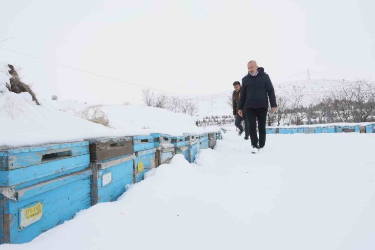 Kar yağışı, koloni kayıplarını ve hastalıkları minimuma indirdi: Arıcılar sezondan ümitli
