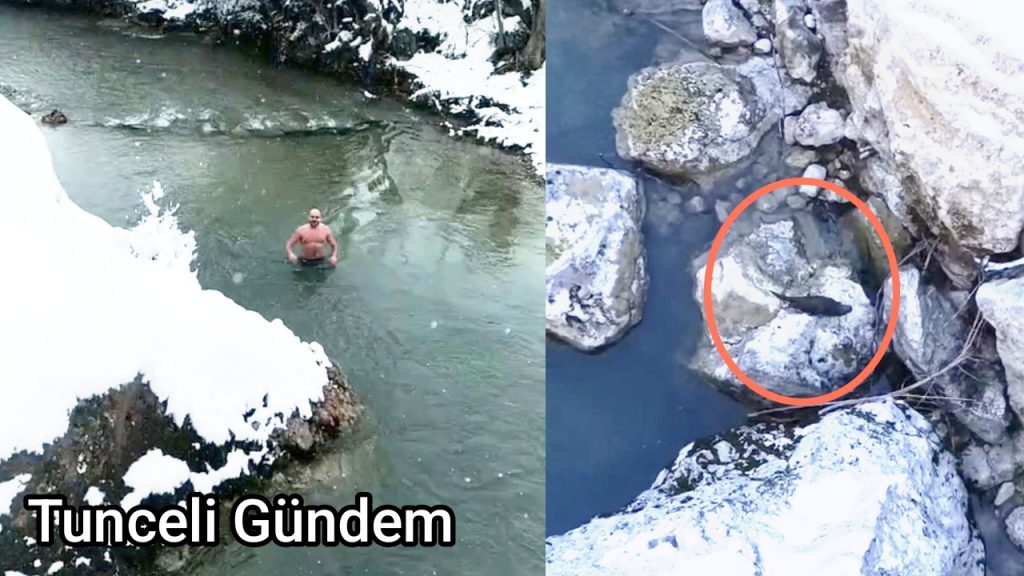 Çemişgezek’te sıra dışı anlar: Aynı vadide su samurları ve buz gibi suda yüzen gençler dikkat çekti