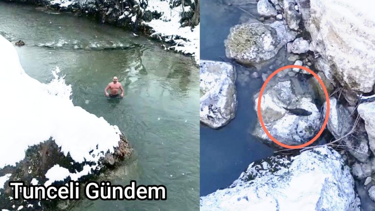 Çemişgezek’te sıra dışı anlar: Aynı vadide su samurları ve buz gibi suda yüzen gençler dikkat çekti
