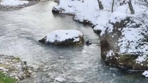 Çemişgezek”te kar yağışı ile birlikte bölgede kuraklık kaygısı azaldı