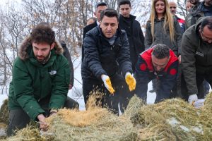 Tunceli’de yaban hayatı için 1 ton yem bırakıldı