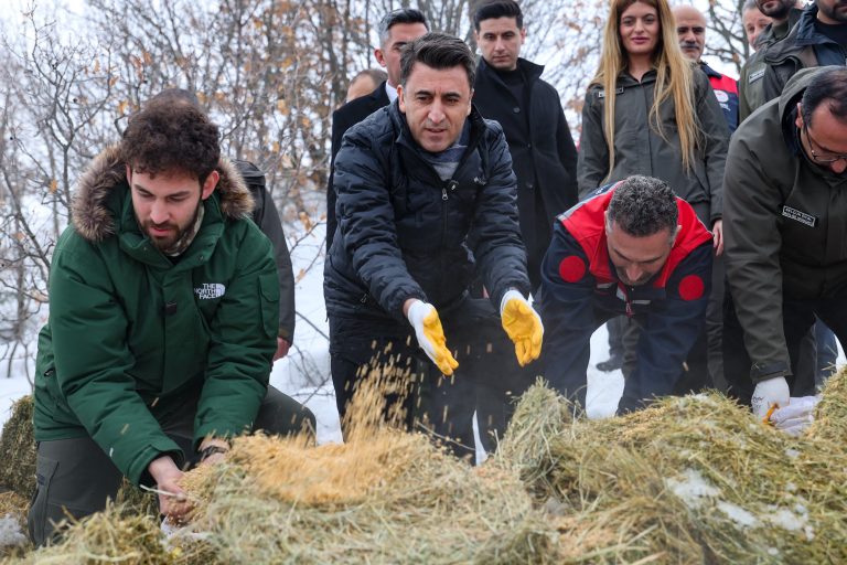 Tunceli’de yaban hayatı için 1 ton yem bırakıldı