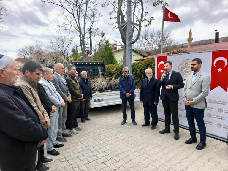 Çemişgezek’te 800 adet fidan vatandaşlara ücretsiz dağıtıldı: