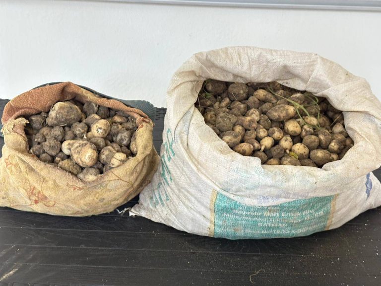 Tunceli’de kaçak salep toplayan 3 kişiye rekor ceza: 2 Milyon TL’nin üzerinde ceza uygulandı