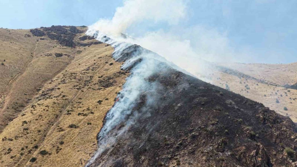 Keban’da dağlık alanda yangına sebep olan şüpheli tutuklandı