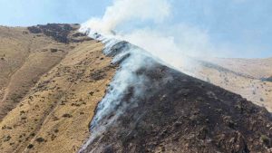 Keban’da dağlık alanda yangına sebep olan şüpheli tutuklandı