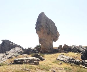 Çemişgezek’te doğanın milyonlarca yıllık sanatı olan Mantar Kaya görenlerin dikkatini çekiyor