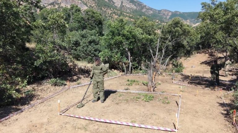 Terörsüz Türkiye ile Tunceli’de mayınlı araziler üretime kazandırılıyor