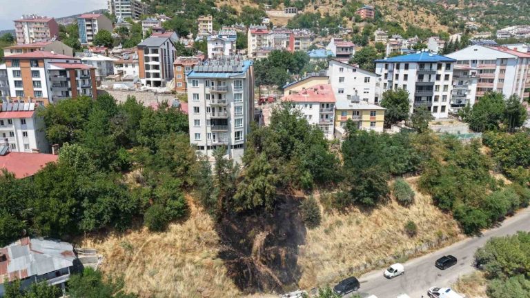 Çocukların torpil oyunu yangınla sonuçlandı: İtfaiye büyümeden söndürdü